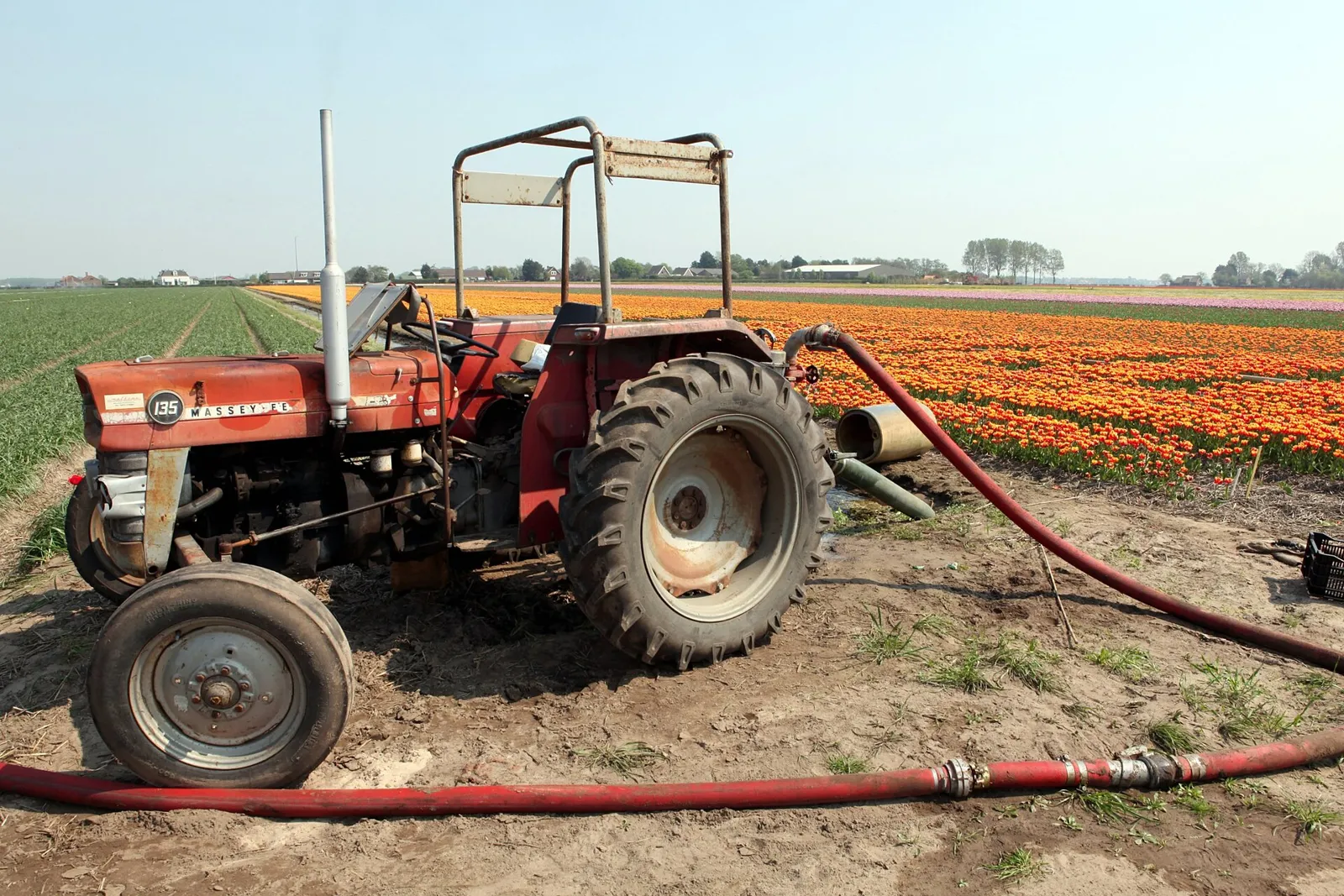 Massey Ferguson 135